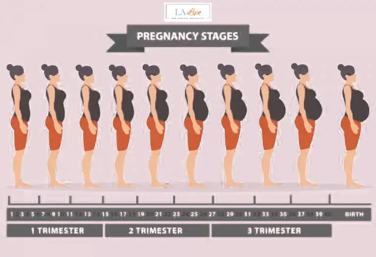 First Trimester (Weeks 1–12): Early Changes You Might Not Notice Swindon